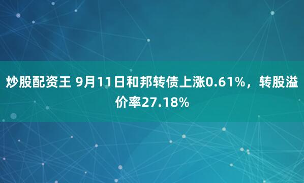 炒股配资王 9月11日和邦转债上涨0.61%，转股溢价率27.18%