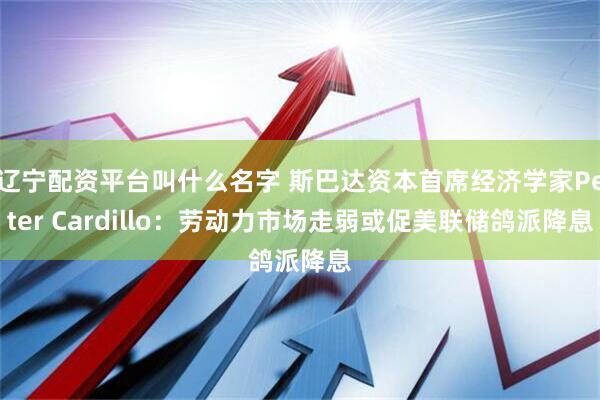 辽宁配资平台叫什么名字 斯巴达资本首席经济学家Peter Cardillo：劳动力市场走弱或促美联储鸽派降息