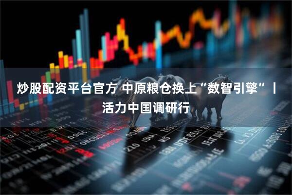 炒股配资平台官方 中原粮仓换上“数智引擎”丨活力中国调研行